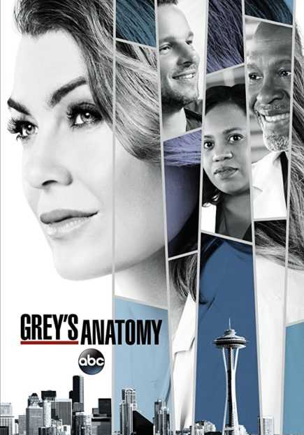 مشاهدة مسلسل Greys Anatomy موسم 14 حلقة 11