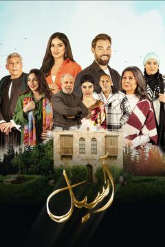 مشاهدة مسلسل اسيل حلقة 14