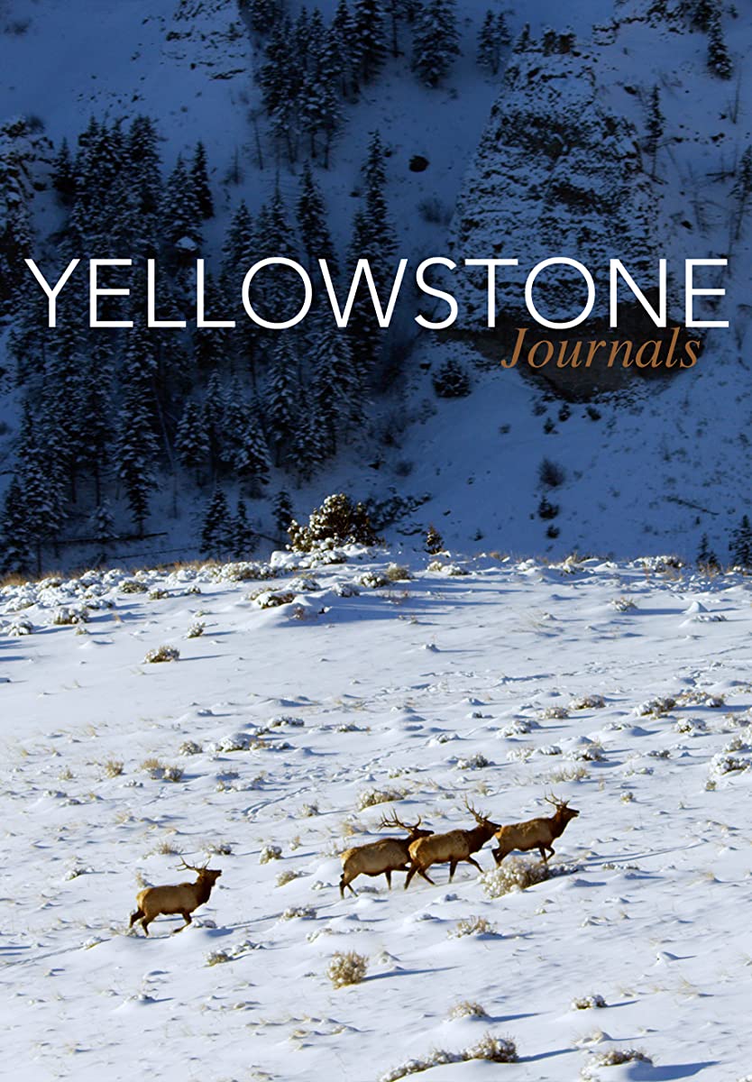 مسلسل Yellowstone موسم 5 حلقة 11